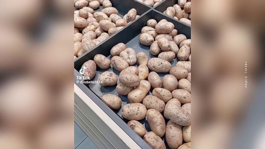 Картошка