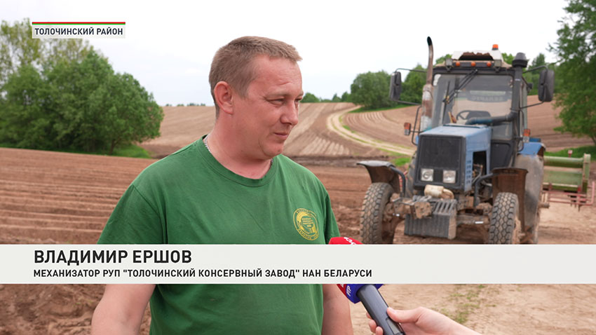 Картошка
