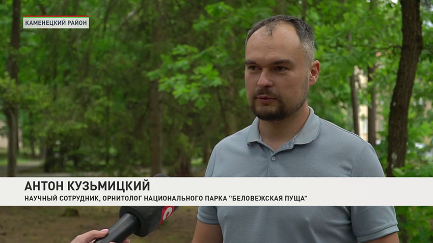 Антон Кузьмицкий