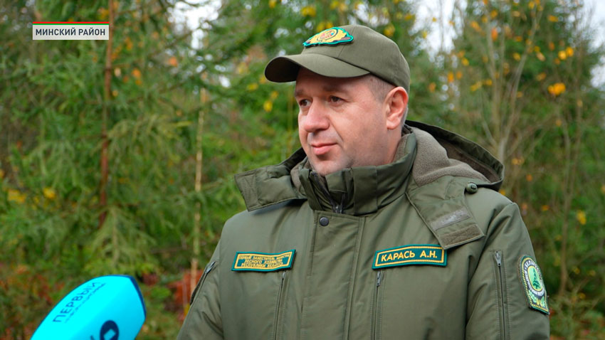 Андрей Карась, первый заместитель министра лесного хозяйства Беларуси