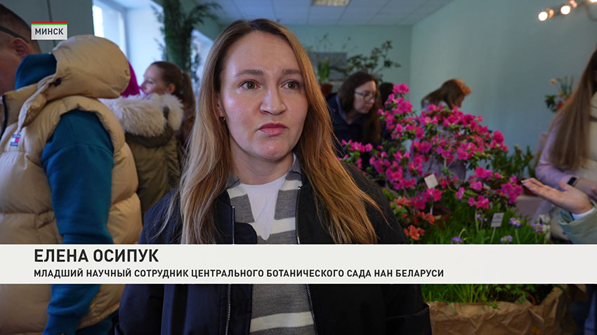 Елена Осипук