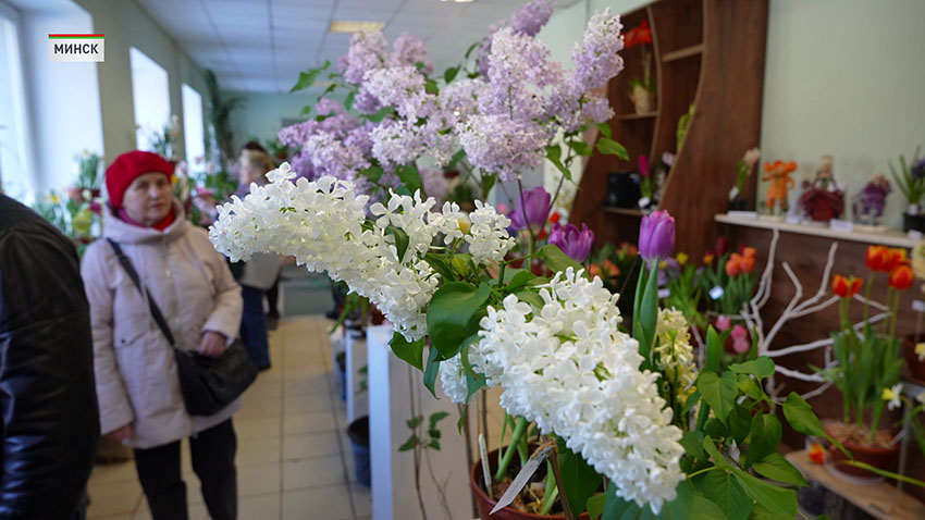 Ботанический сад