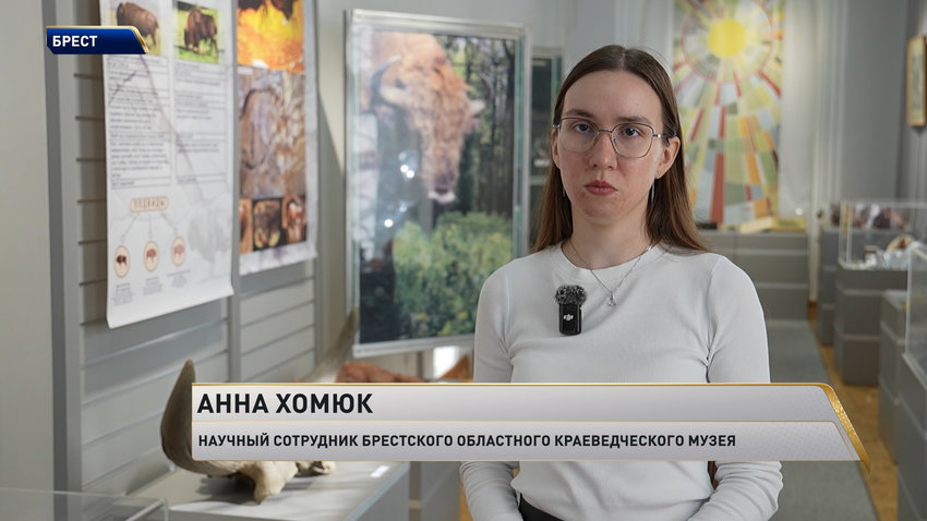 Анна Хомюк, научный сотрудник Брестского областного краеведческого музея