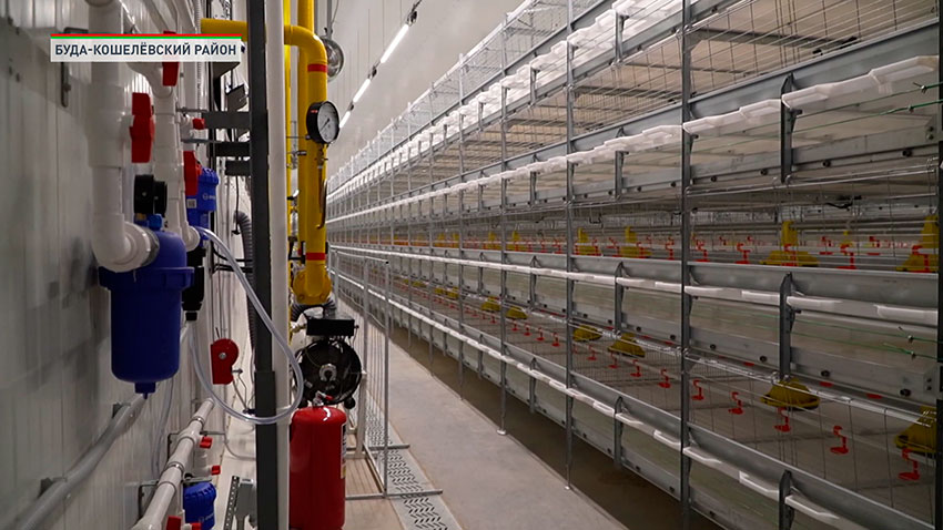 Буда-Кошелево