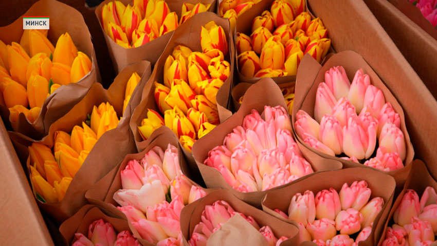 В Минске будет установлен контроль за торговлей цветами в праздники