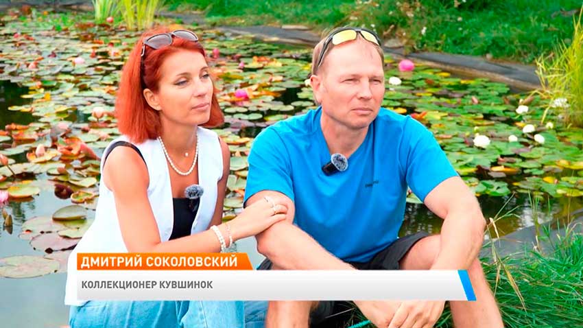 Дмитрий Соколовский