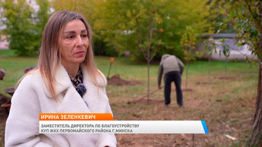 Утро