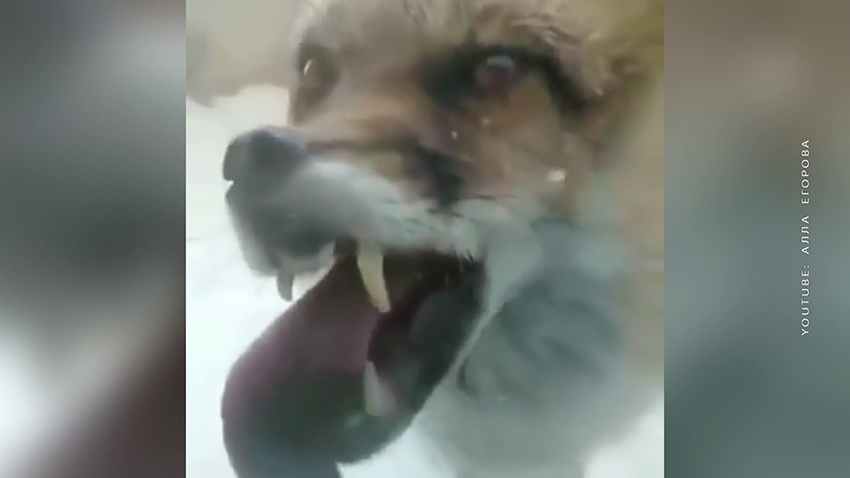 Утро