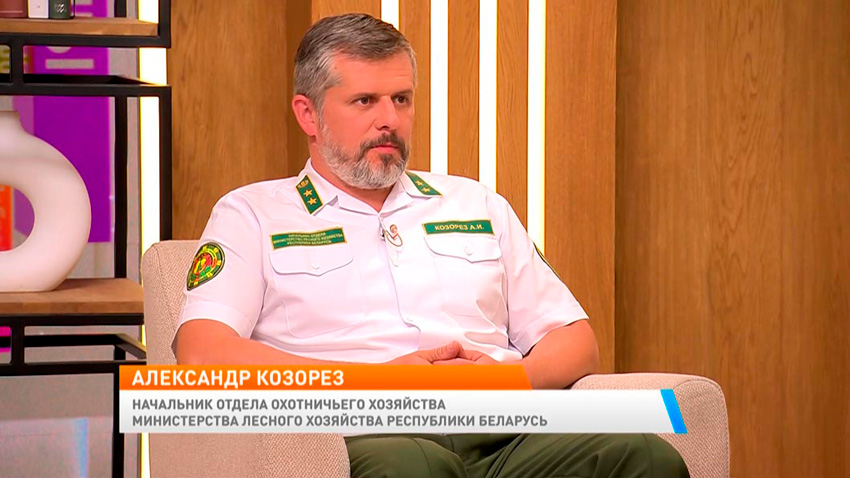 Дискотека с охотничьими песнями и выставка собак – в заказнике «Налибокский» пройдет масштабный фестиваль