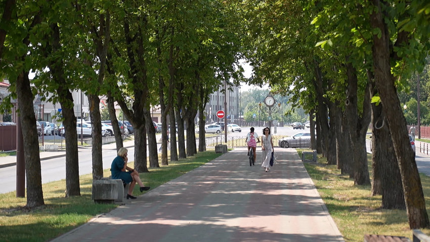 До +40 °С по югу страны – красный уровень опасности объявлен в Беларуси из-за жары 6 августа