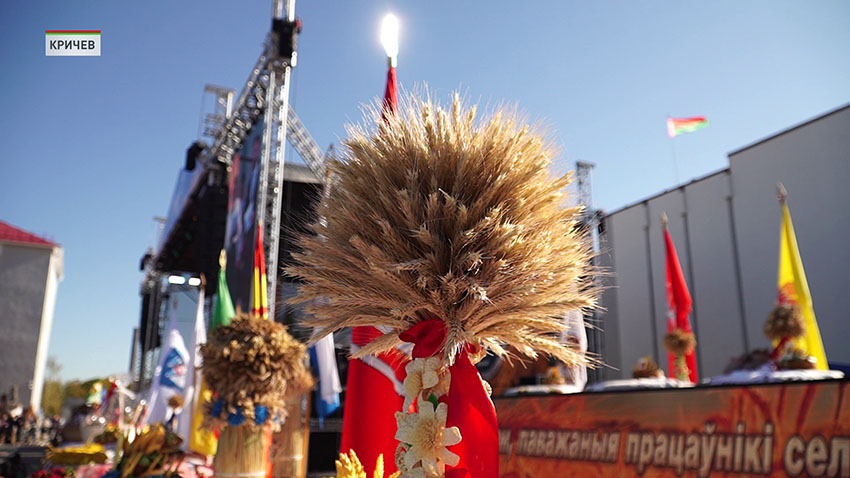 Дожинки