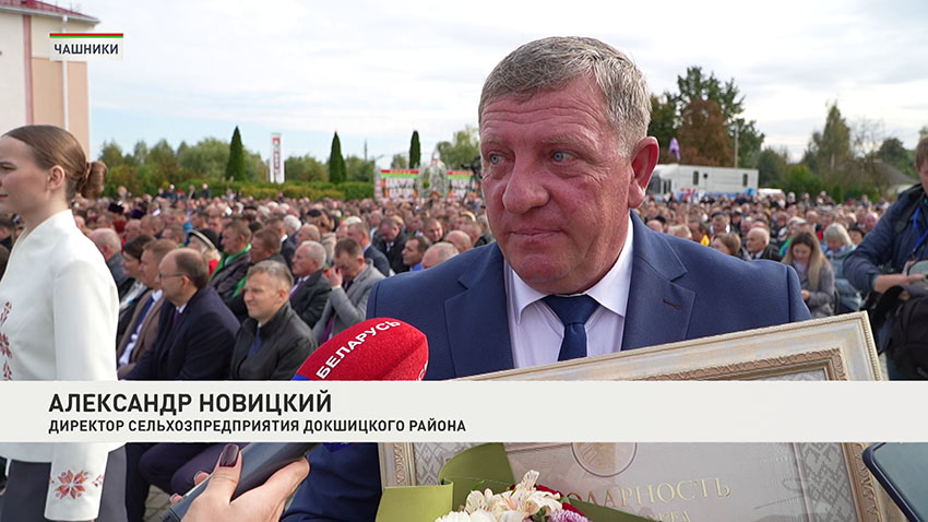 Дожинки