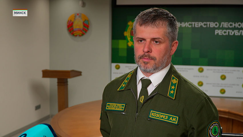 Александр Козорез