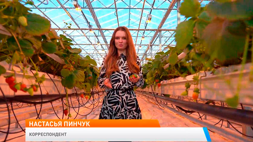 Настасья Пинчук, корреспондент