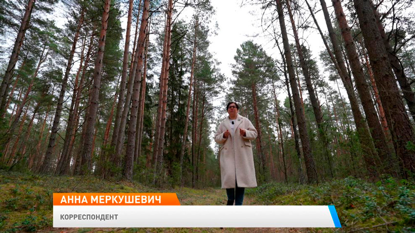 Ее миссия – сохранить природу! Пообщались с белоруской, которая уже 40 лет работает в лесничестве