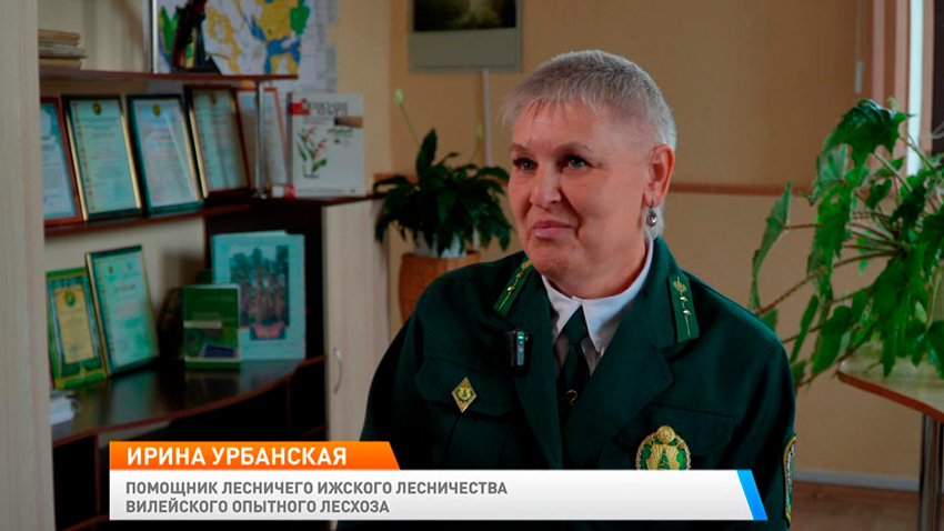 Ирина Урбанская, помощник лесничего Ижского лесничества Вилейского опытного лесхоза
