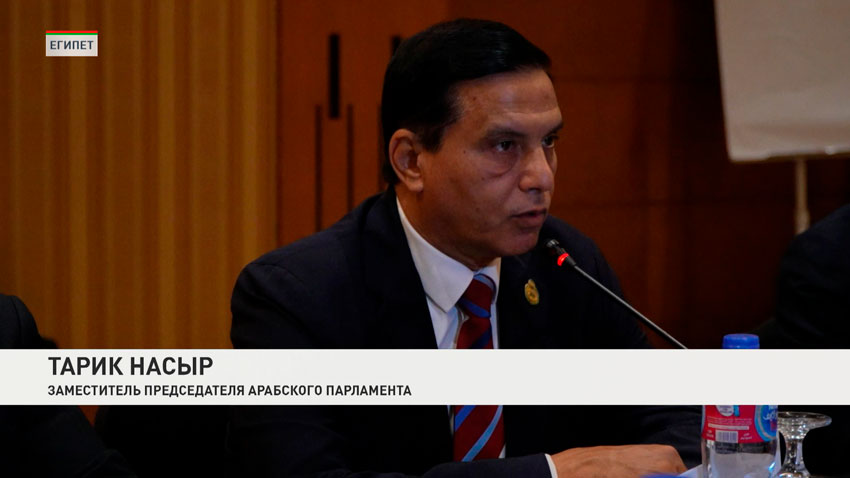 Тарик Насыр, заместитель председателя Арабского парламента
