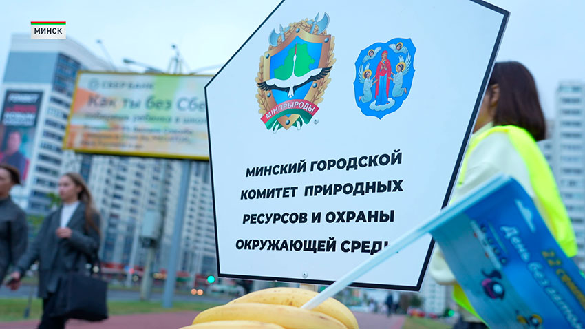 Экотранспорт