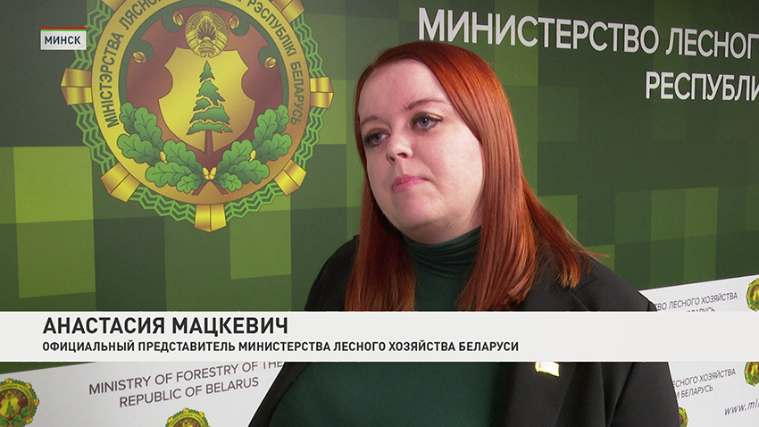 Анастасия Мацкевич