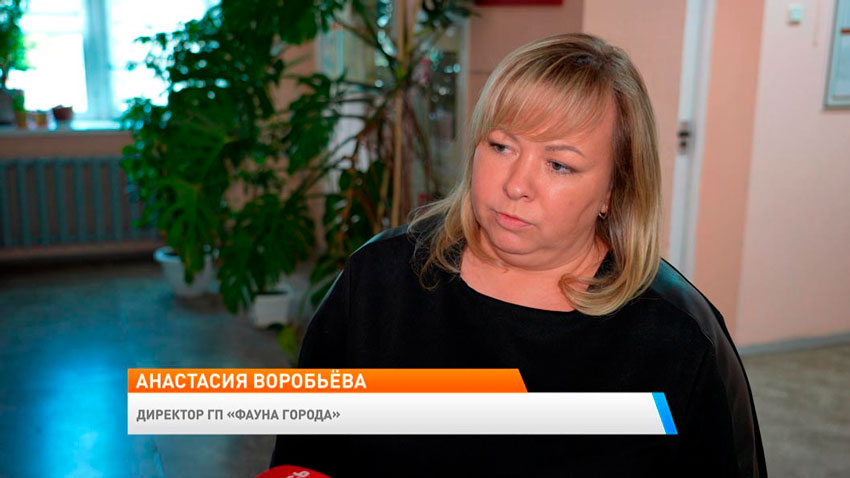 Анастасия Воробьева, директор ГП «Фауна города»