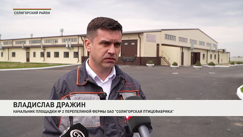 Ферма