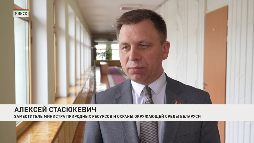 Год благоустройства