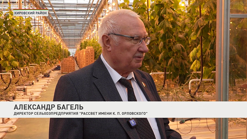 Александр Багель