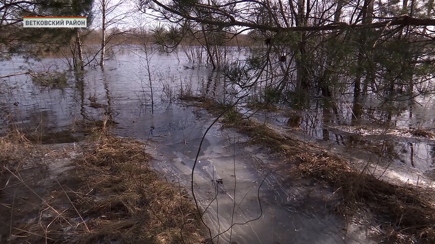 Гомель