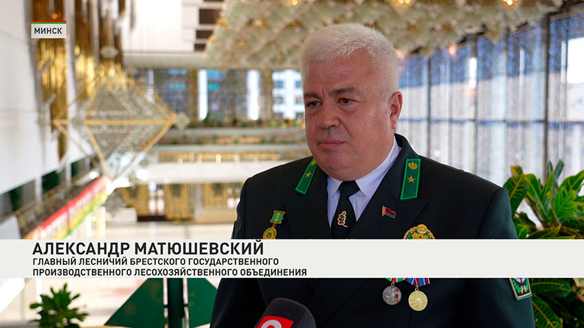 Александр Матюшевский