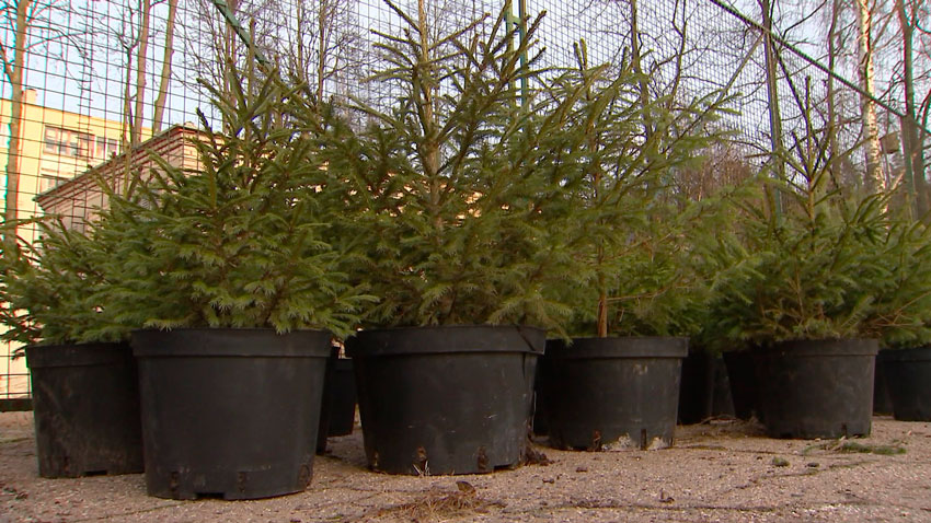 Государственная лесная охрана переходит на усиленный режим работы