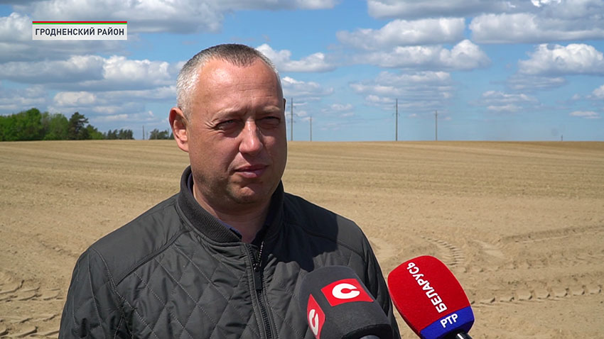 Владимир Романович