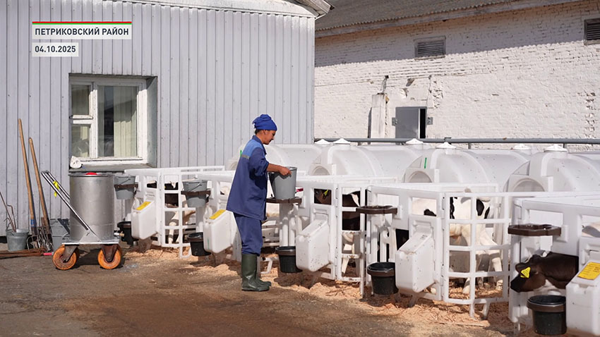 Иностранцы