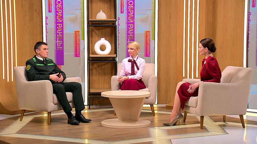 Как легально приобрести живую новогоднюю ель? Рассказал главный лесничий Минского ГПЛХО