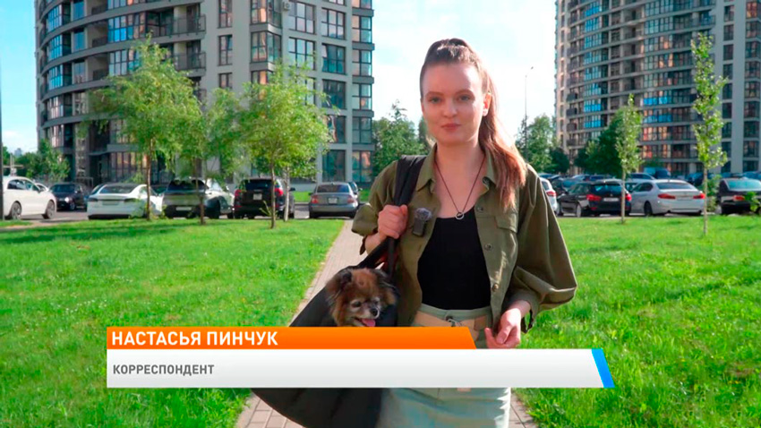 Как подготовить питомца к разлуке на время отпуска – объяснила ветеринарный врач