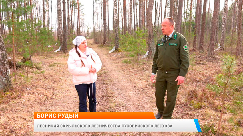 Борис Рудый, лесничий Скрыльского лесничества Пуховичского лесхоза