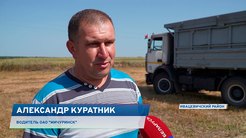 Александр Куратник