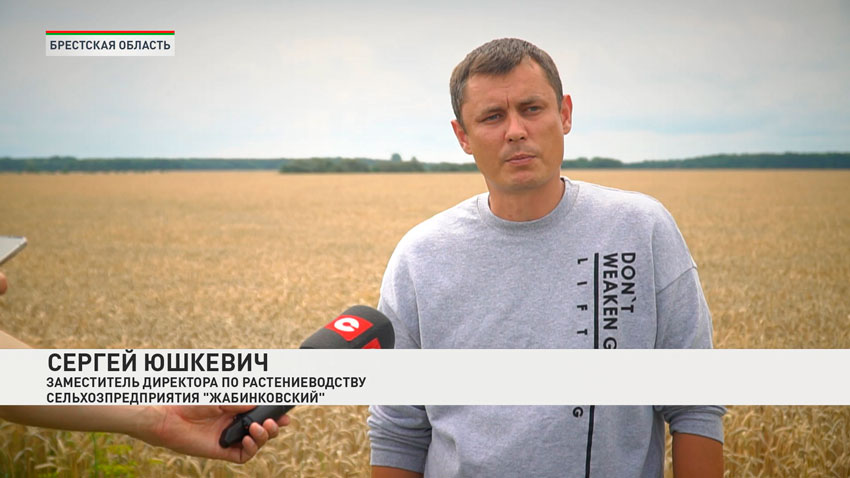 Сергей Юшкевич, заместитель директора по растениеводству сельхозпредприятия «Жабинковский»
