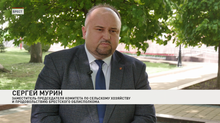 Сергей Мурин