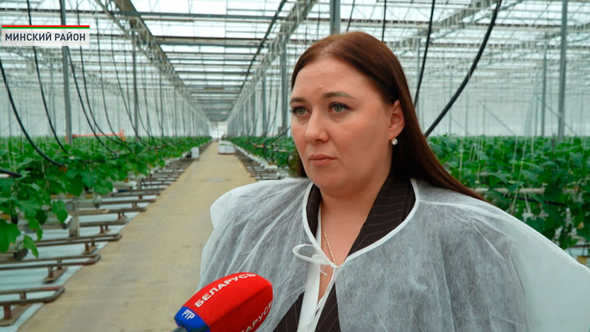 Екатерина Шавенько, заместитель директора тепличного хозяйства