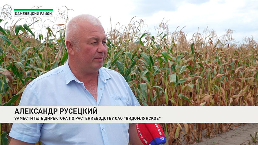 Александр Русецкий