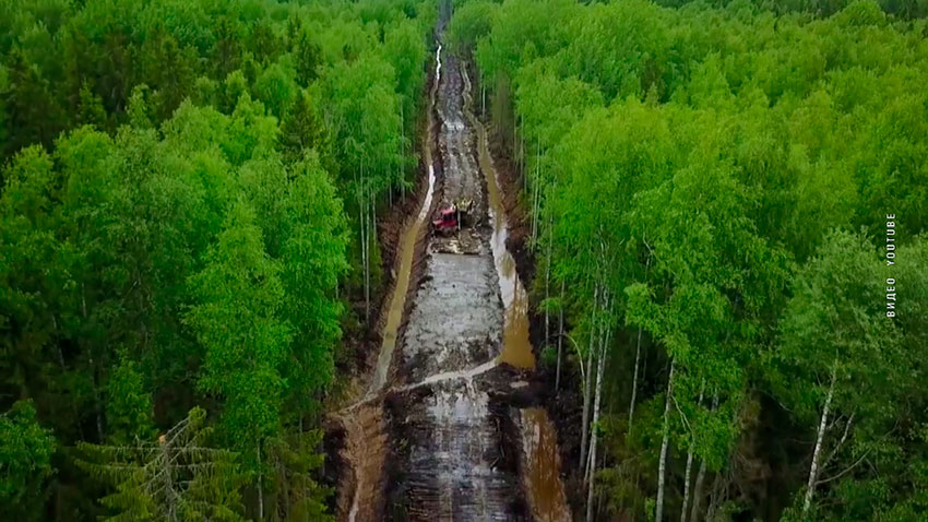 Лесные дороги