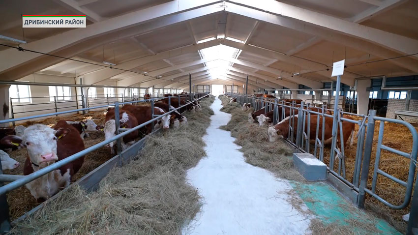 Лукашенко 13 марта совершает рабочую поездку в Дрибинский район Могилевской области