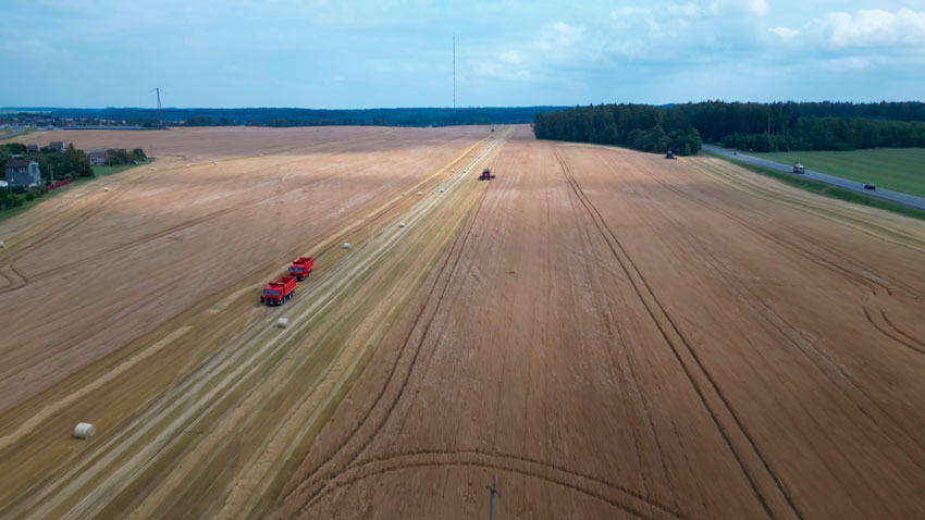 Лукашенко вручил награды заслуженным аграриям Беларуси