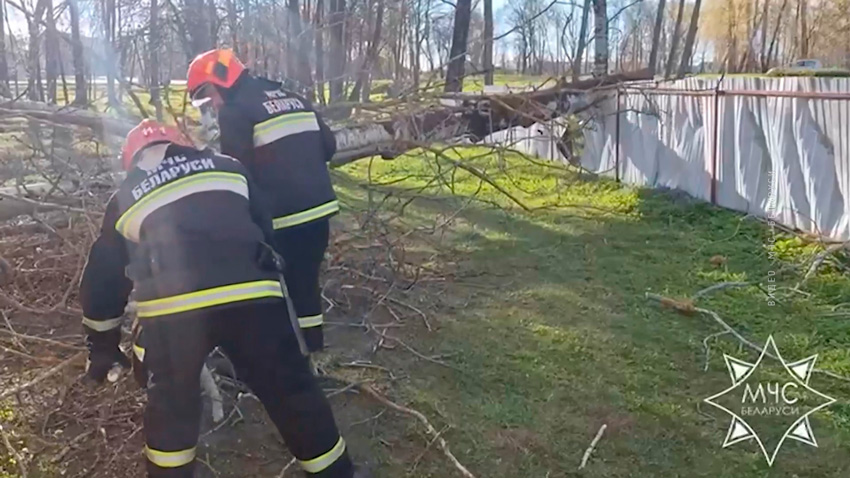 Сотрудники МЧС ликвидировали последствия сильного ветра