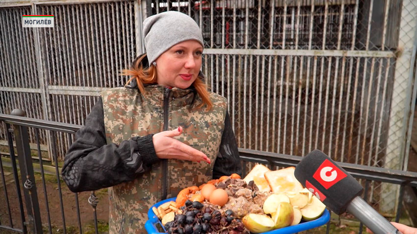 Алена Бобкова, ветеринарный врач Могилевского зоосада