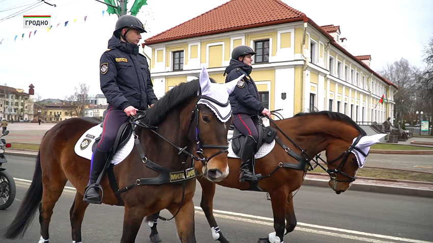 Гродно милиция