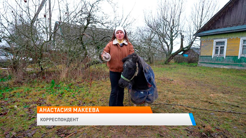 Анастасия Макеева, корреспондент