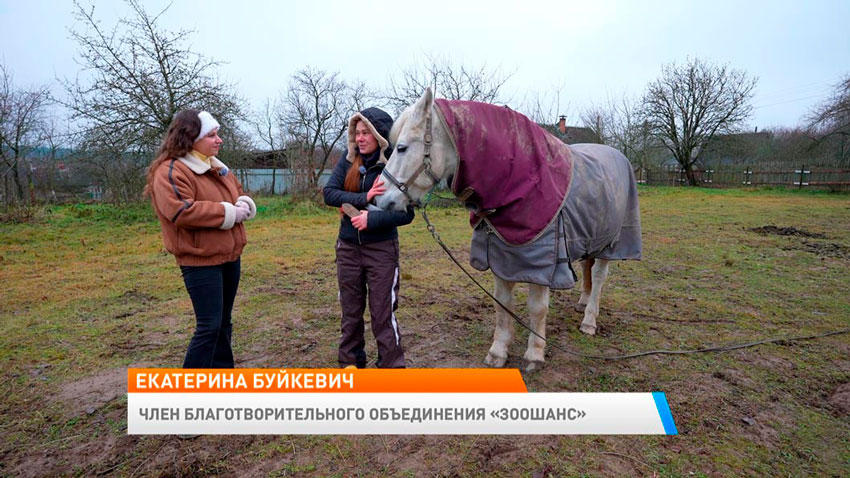Екатерина Буйкевич, член благотворительного объединения «ЗООшанс»