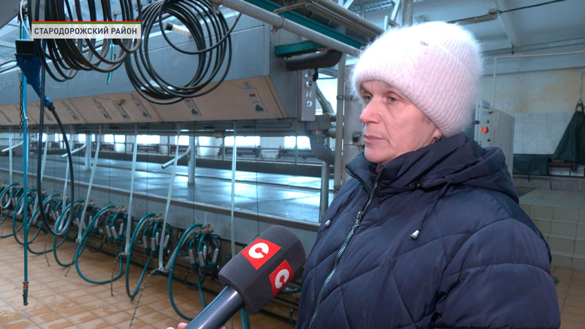 Галина Доманова, заведующий доильно-молочного блока сельхозпредприятия «Пастовичи»