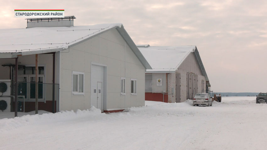 В Стародорожском районе открыли новый молочно-товарный комплекс